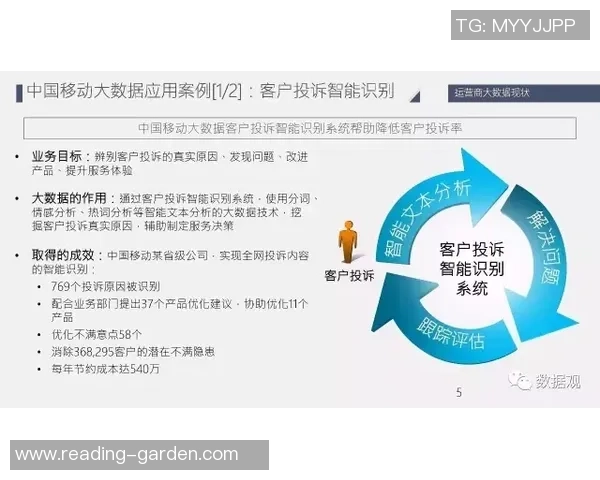 深入分析上海滑板队的运营策略与发展模式探讨