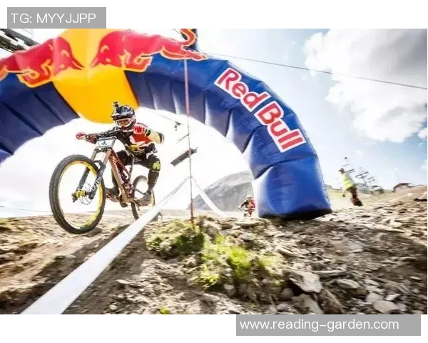 杭州极限运动队转型之路揭秘：从传统到创新的全新挑战与机遇