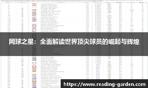 网球之星：全面解读世界顶尖球员的崛起与辉煌