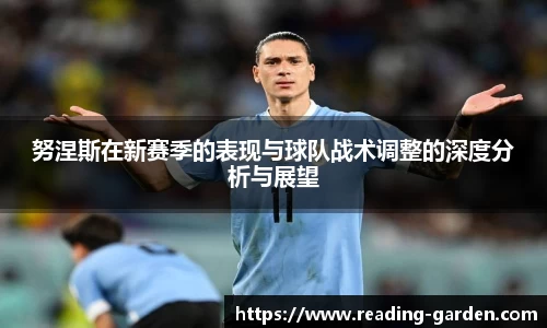 努涅斯在新赛季的表现与球队战术调整的深度分析与展望